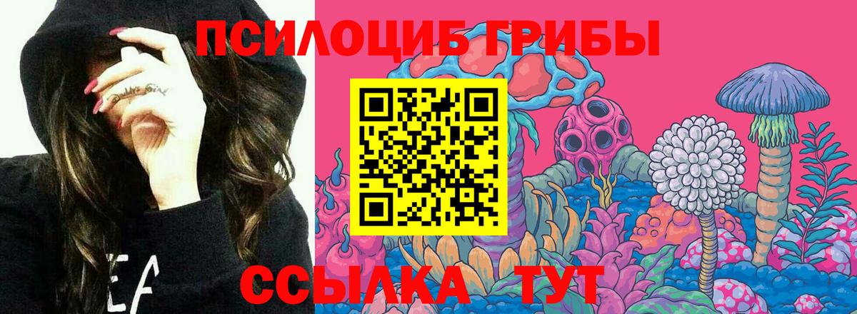 сколько стоит  Галлюциногенные грибы Psilocybe  Вход с VPN  Якутск 
